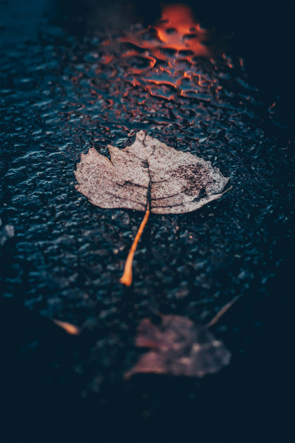 FALL